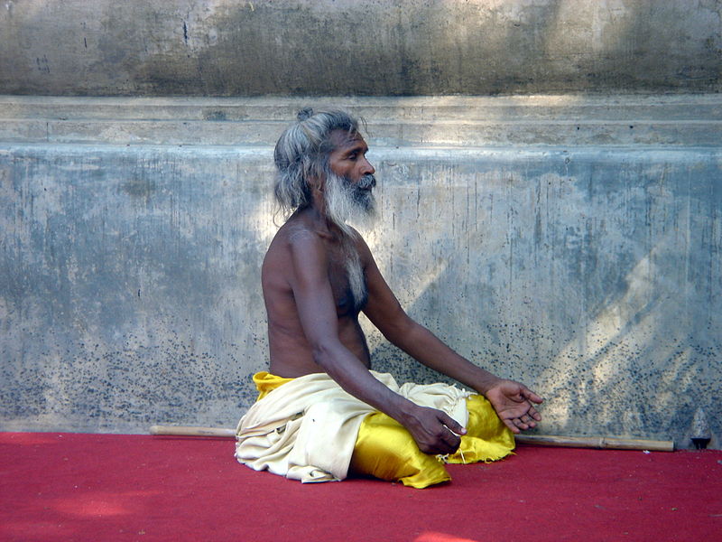 Sadhu in meditazione. Licenza  Creative Commons Attribution-Share Alike 3.0 Unported, foto di Wise Droid